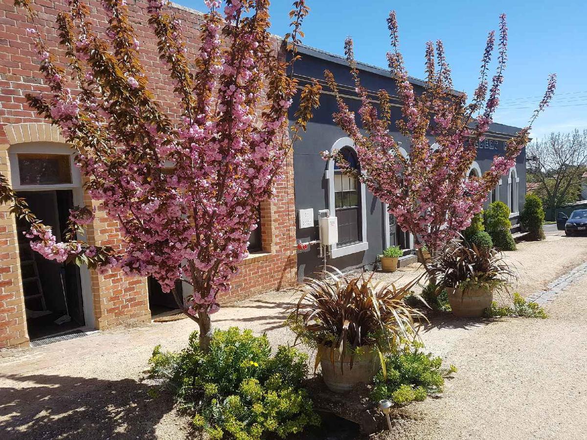 Albert Hotel Daylesford Exterior photo